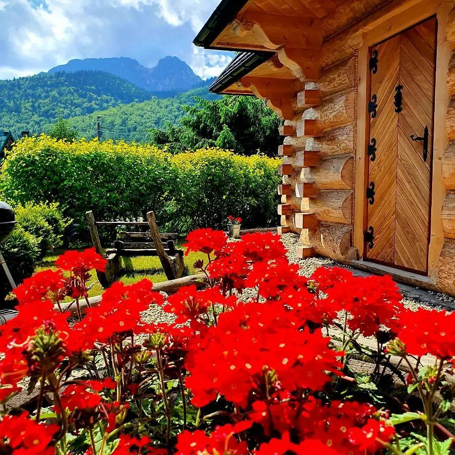 Zakopianska Osada Domki Villa Zakopane 0*,